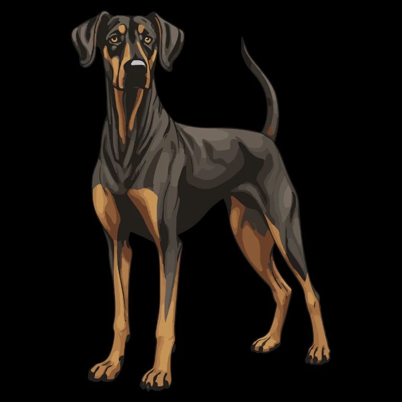 Doberman Hund Tier