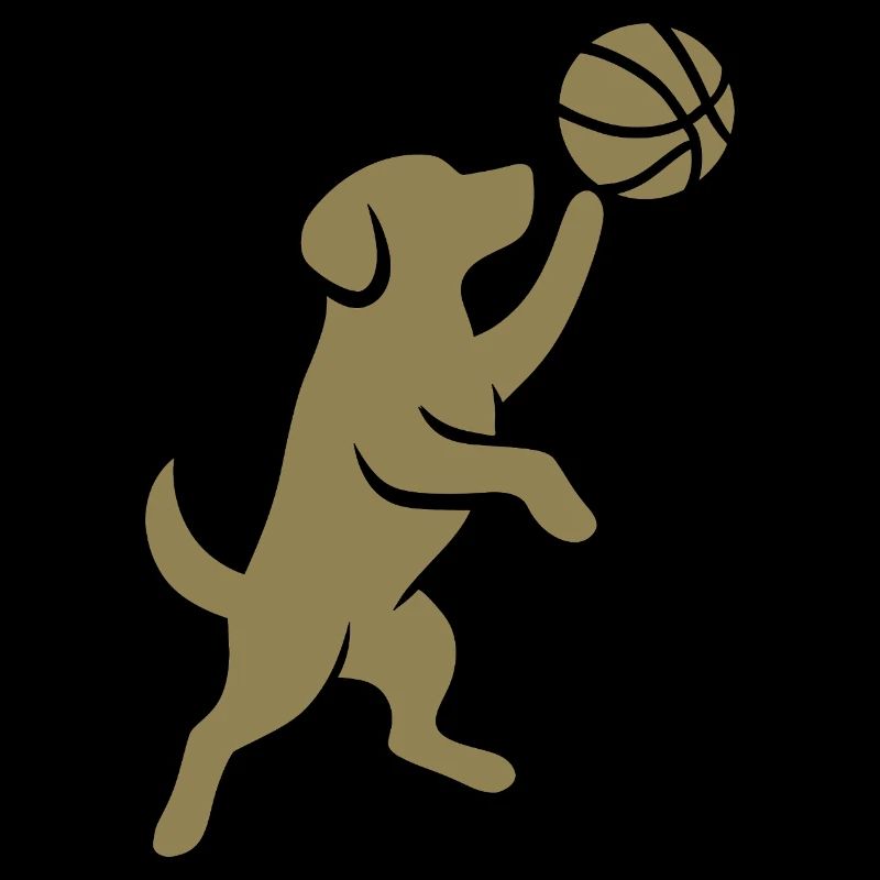 Jeté de basketteur à la silhouette minimaliste
