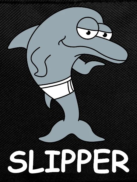 Slipper Dolphin In Swimming Trunks
