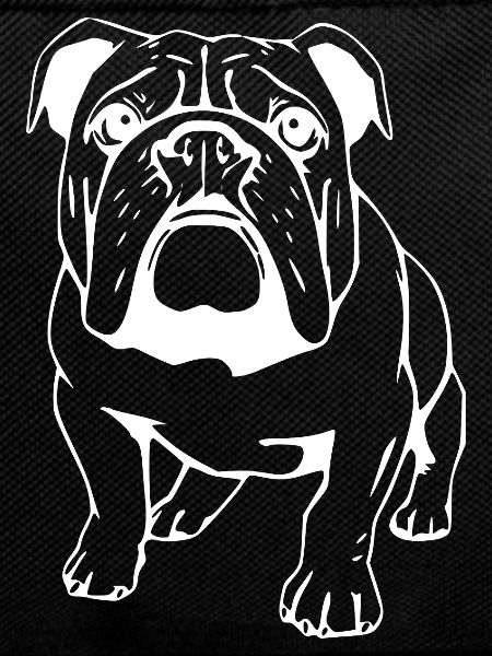 Bulldogge