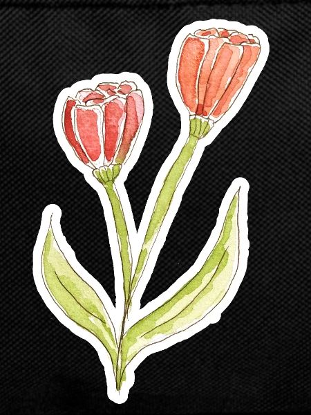 Tulipe aquarelle