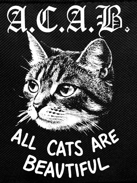 All cats are beuatuiful
