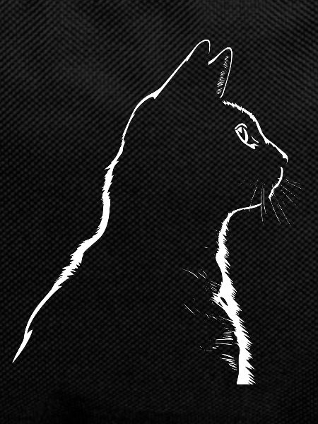 Cat, Cat Motif
