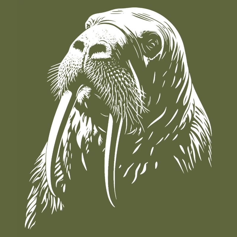 Walrus