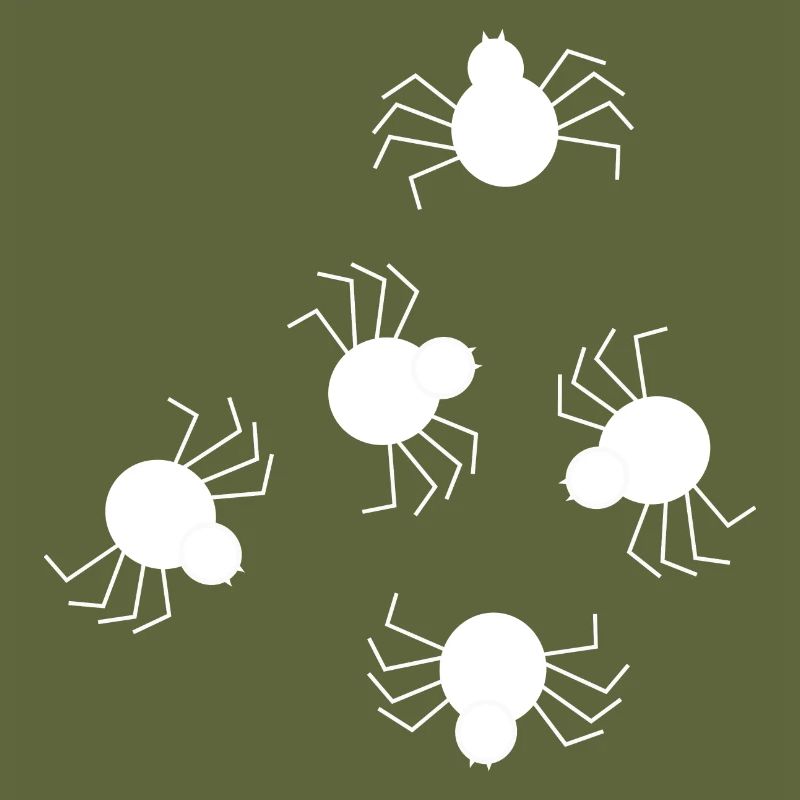 Spider white