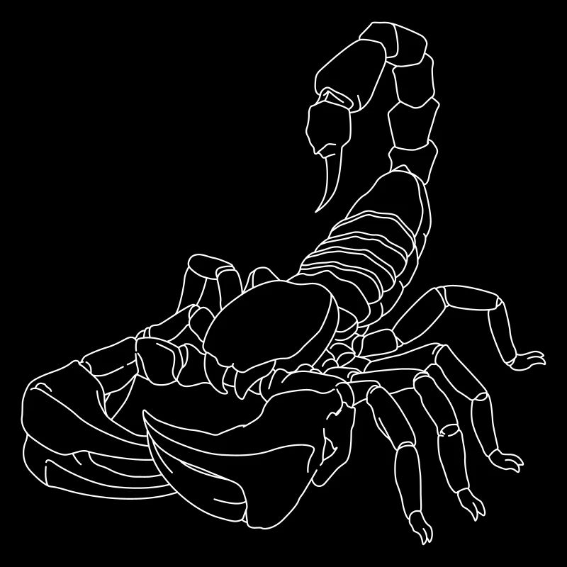 Scorpion lignes
