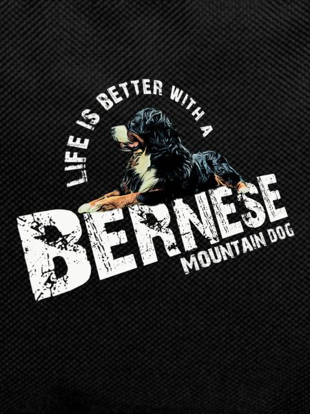 Bouvier bernois