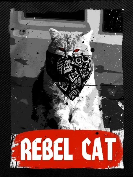 Rebel Cat - Grumpy Cat - Cat