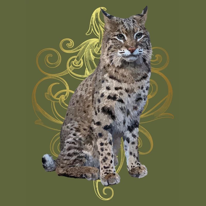 Luchs