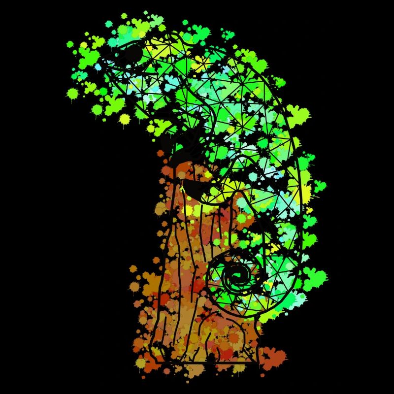 Chameleonn GeomeTRIX bunt