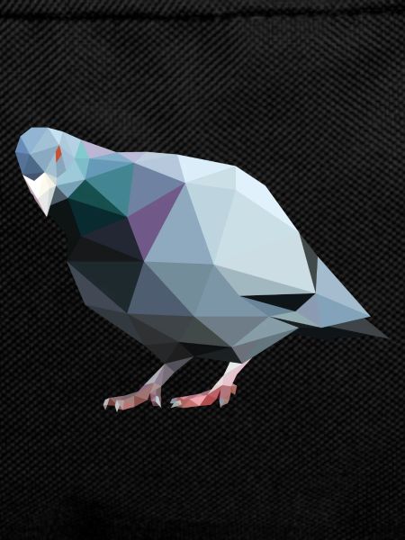 Geometric Pidgeon