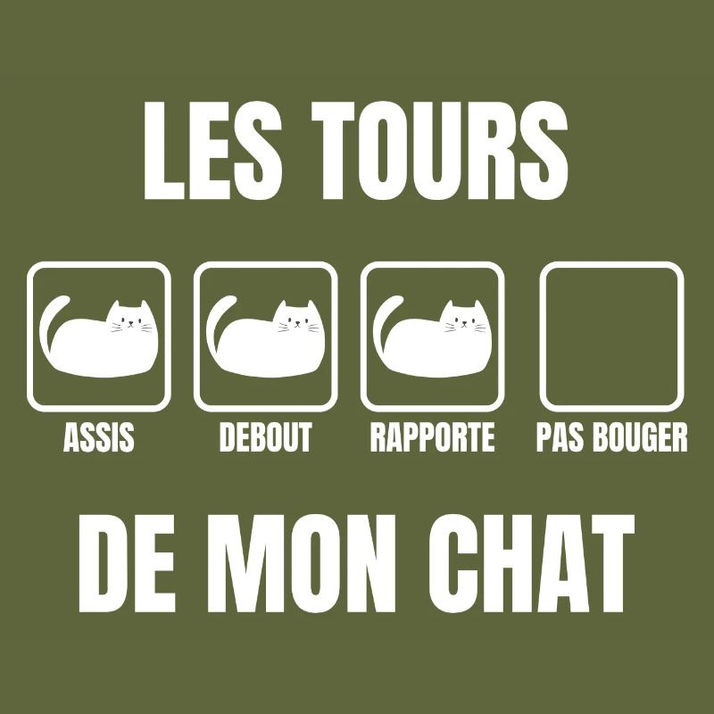 les tours de mon chat