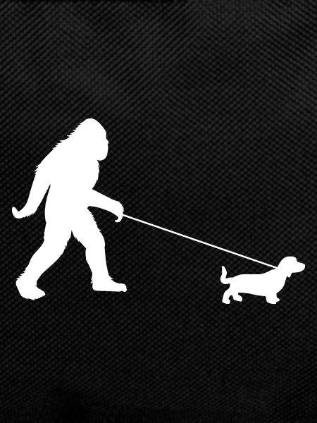 Yeti and Dachshund