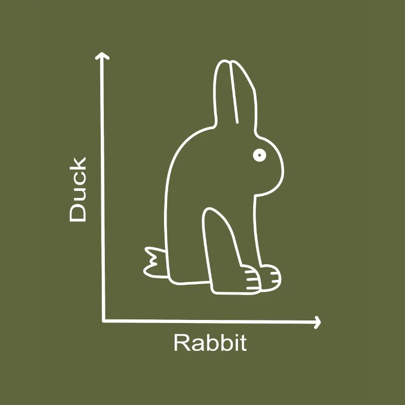 DUCK RABBIT - Rabbit Duck - Graph lesson
