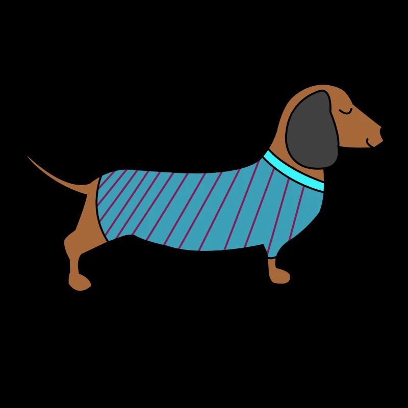 Dackel mit Pulli