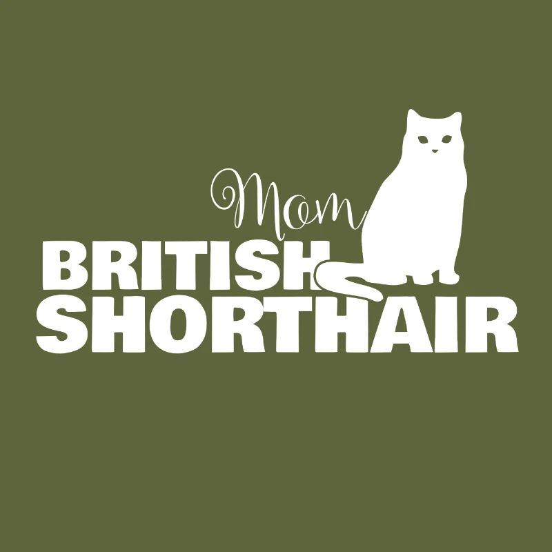 Britisch Kurzhaar Katze Mama Mom