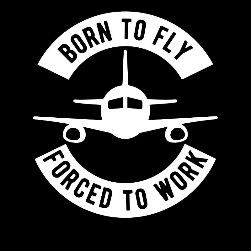 Pilot Airplane Flying Airline Gliding Profession