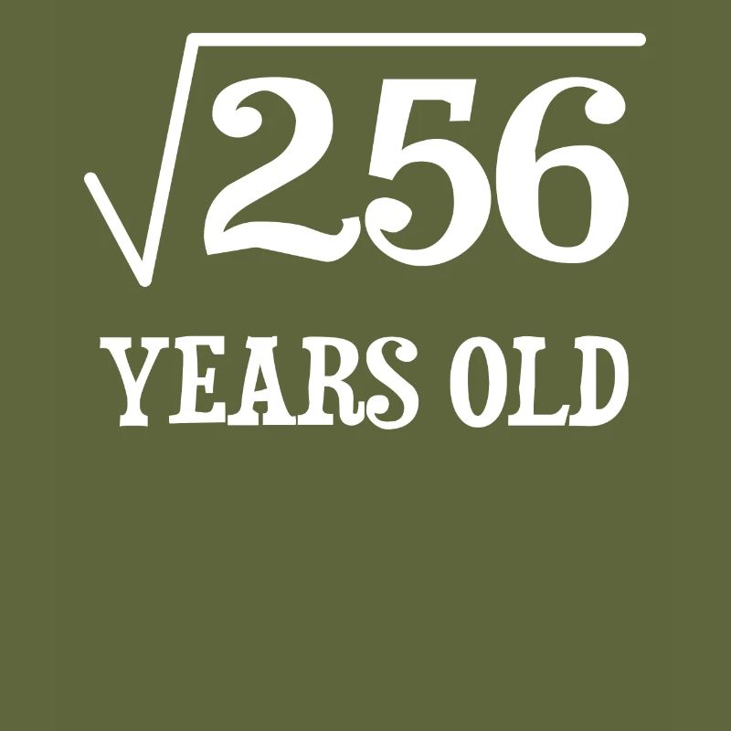 Square Root of 256 Math Nerd 16th Birthday