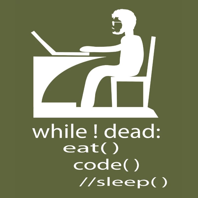 Software Developer Programmer Gift