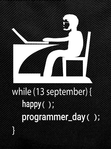 Softwareentwickler Programmierer Geschenk