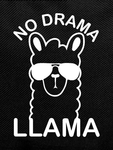 Funny Llama Animals Sunglasses