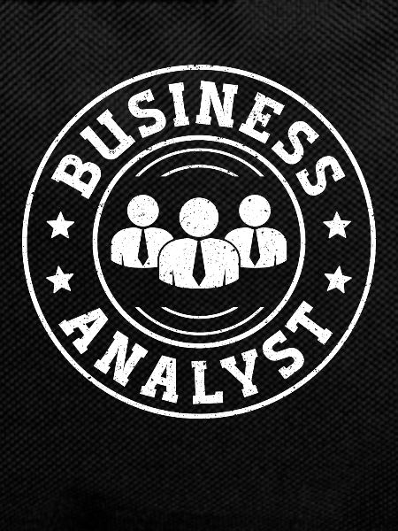 Administration Business Analyst