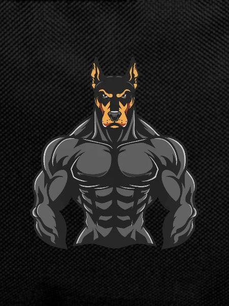 Doberman Dog Muscles Bodybuilding
