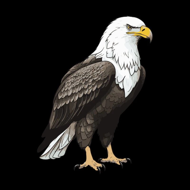 Eagle Animal