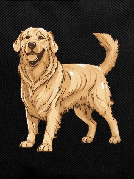 Golden Retriever Dog
