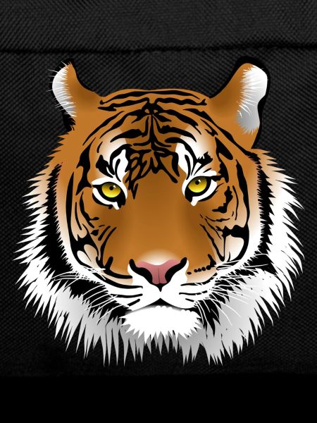 Tiger's head