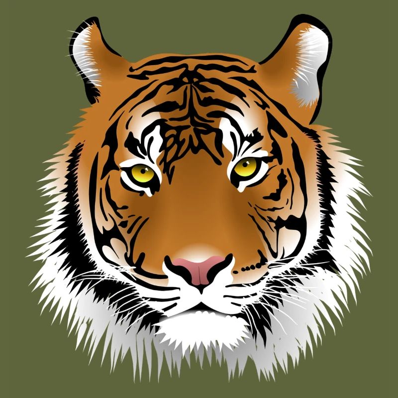 tiger number 1