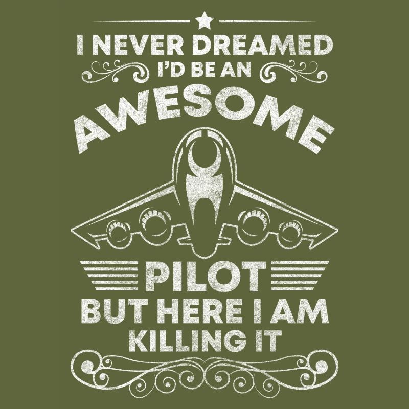 Pilot Luftfahrt Kunstflieger