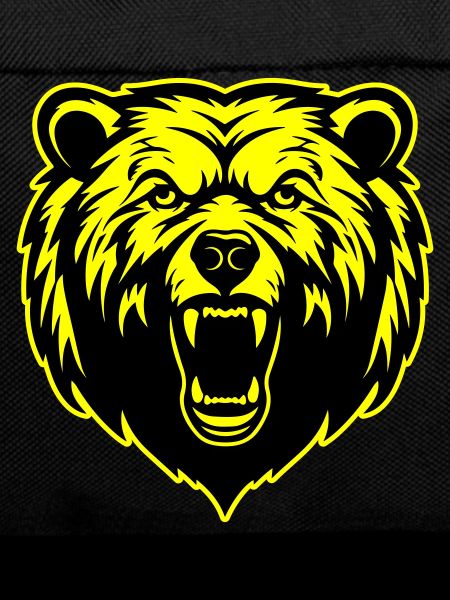 Grizzly Bear Head