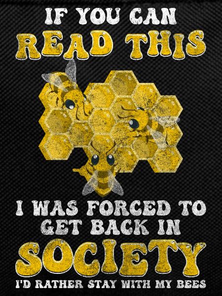honey bee colony beekeeping bees