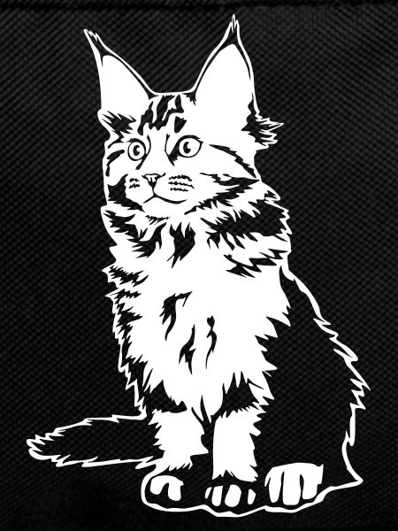 Maine coon cat "Black Edition"