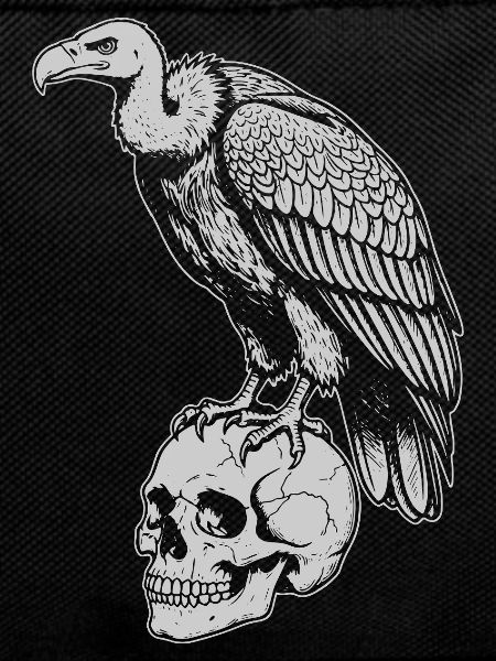 vulture sitting on the skull