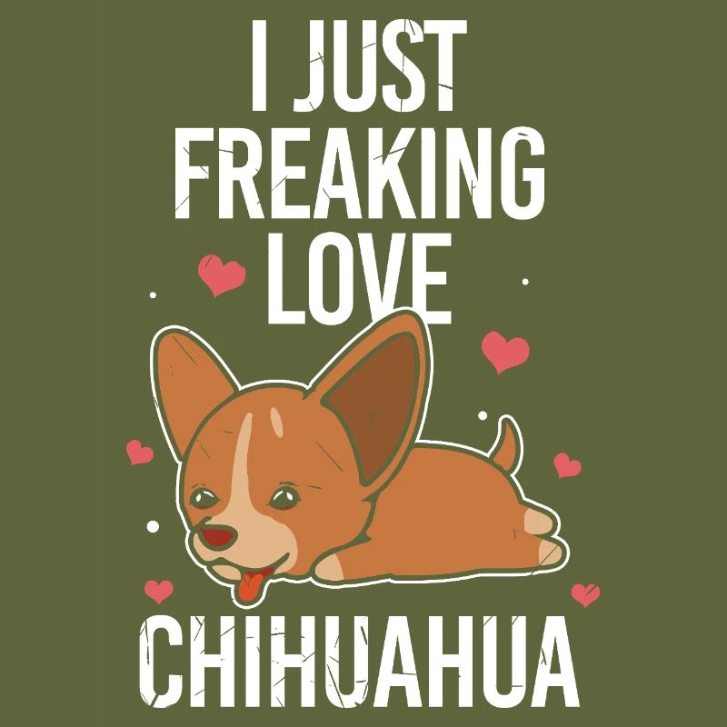 Ich liebe einfach Chihuahuas