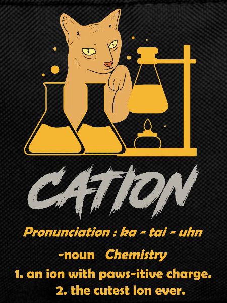 Chemistry Teacher Chemistry Chemist