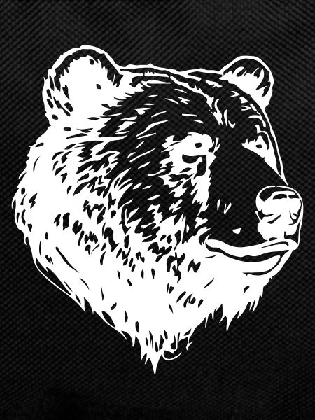 Bear Grizzly Head