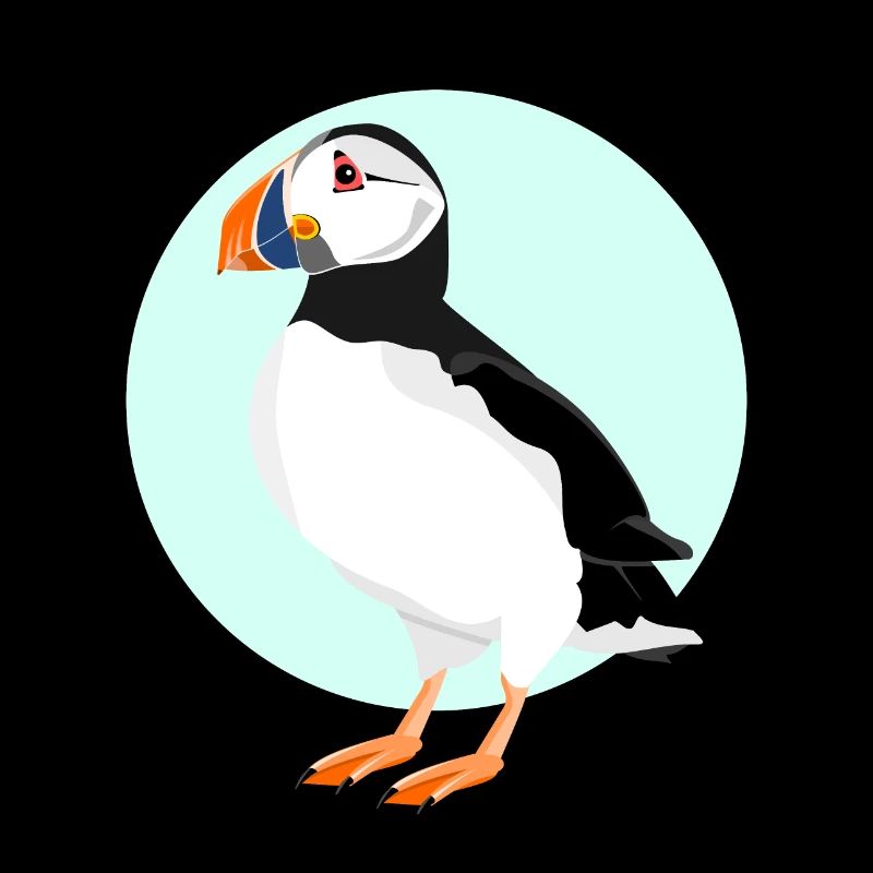 Puffin