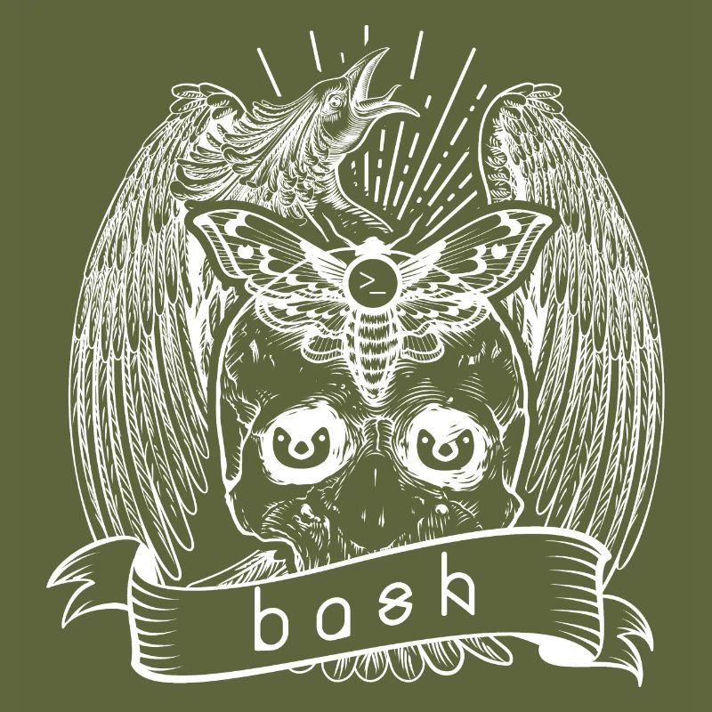 bash shell linux