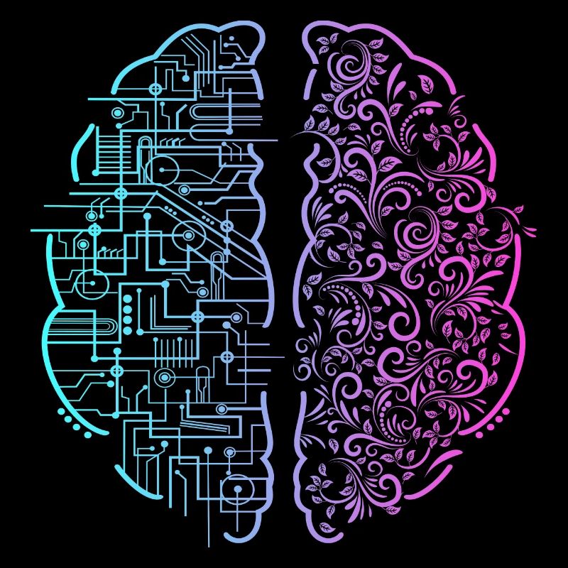 Left Brain Right Brain