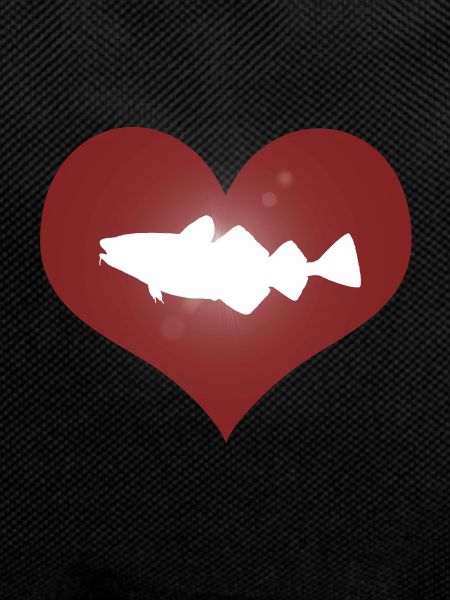 Heart cod - cod fishing