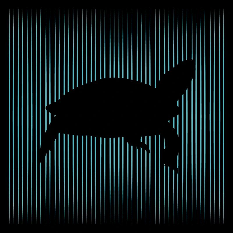 Shield toad with turtle