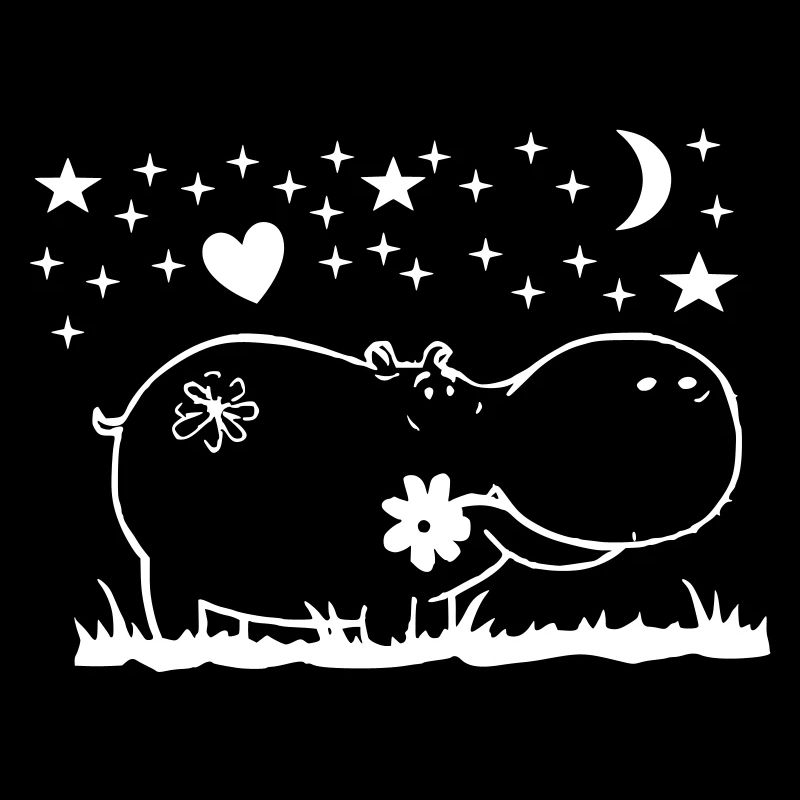 Hippo at night