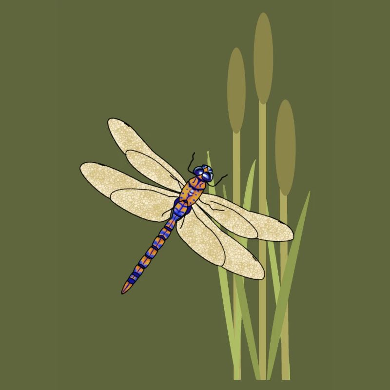 Libelle