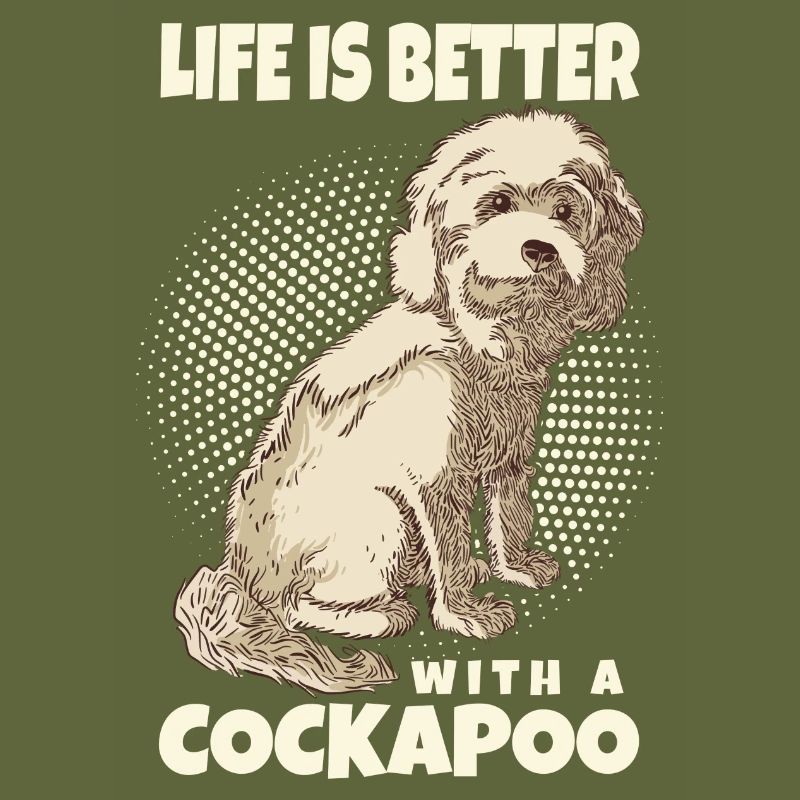 Cockapoo