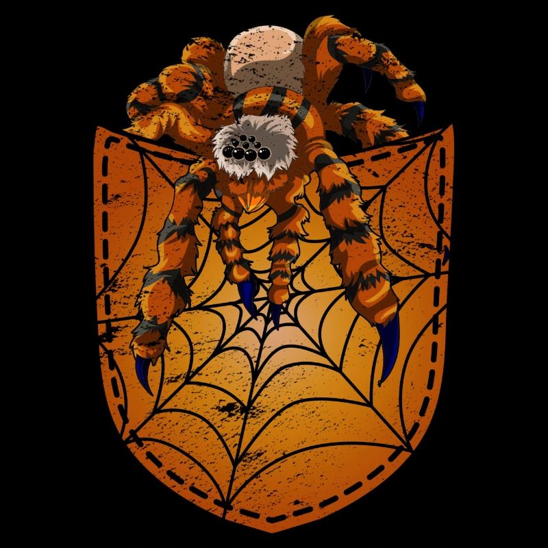 Cobweb Tarantula Gift Chest Pocket Spider