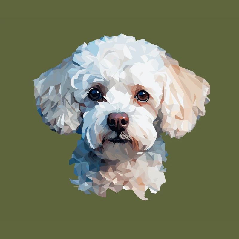 Conception de polygones caniche