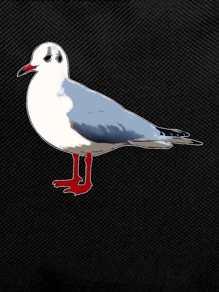 gull